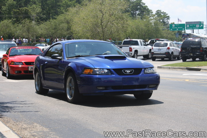 Mustang