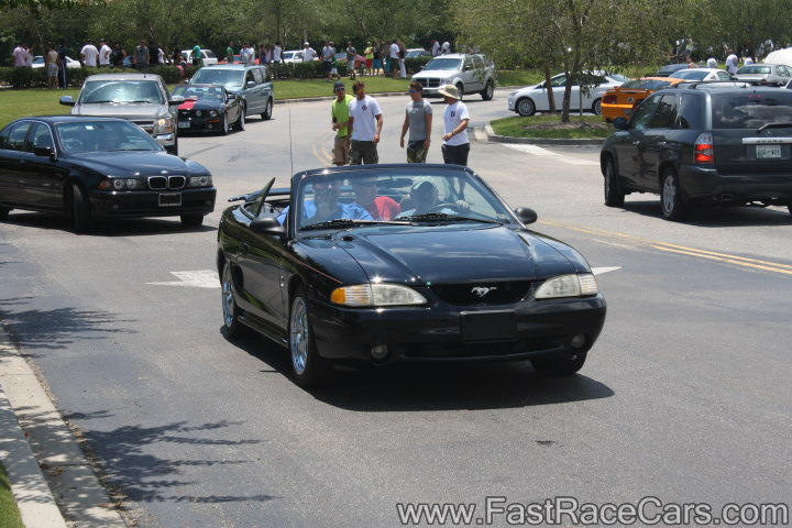 Black Mustang