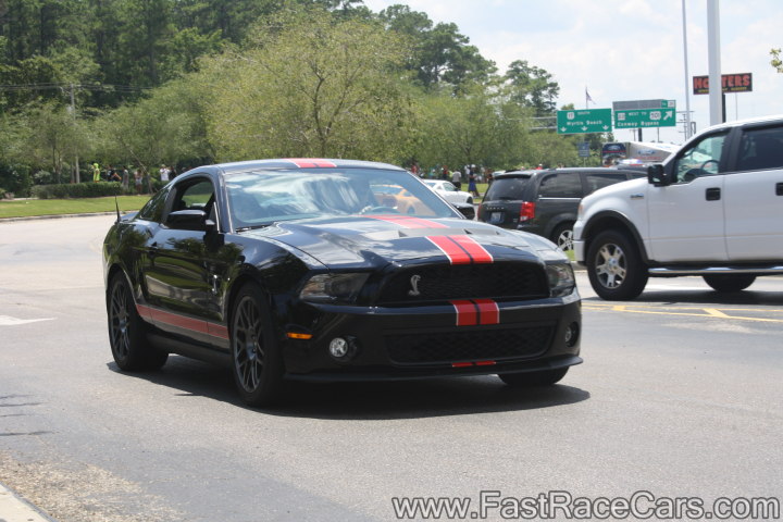 Black Mustang