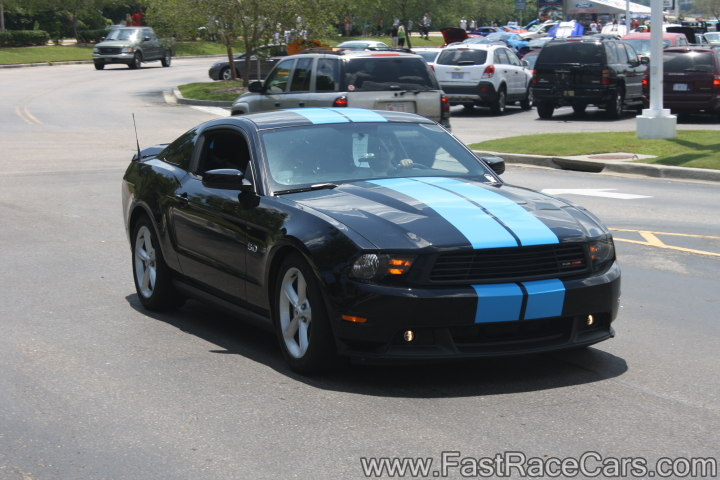Black Mustang
