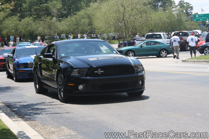 Black Mustang