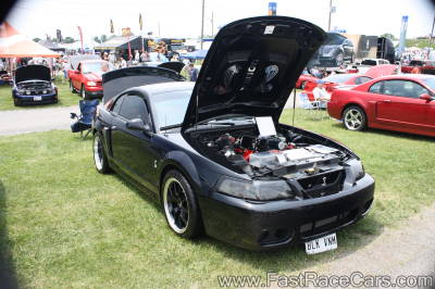 Black Mustang