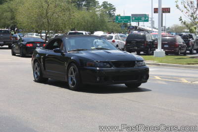 Black Mustang