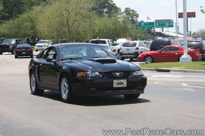 Black Mustang