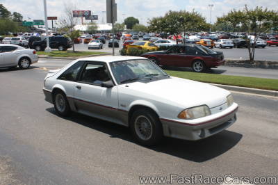 White Mustang